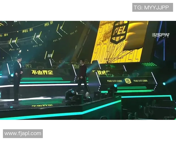 杨丽专访揭秘和平精英电竞总决赛成功秘诀与团队协作之道